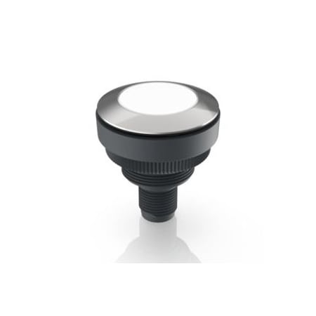 Rafi Pushbutton Switch 1.11.071.001/0220